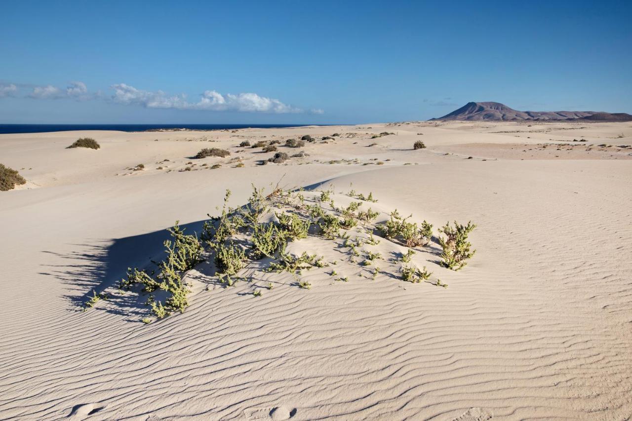Las Fuentes Corralejo Exterior photo